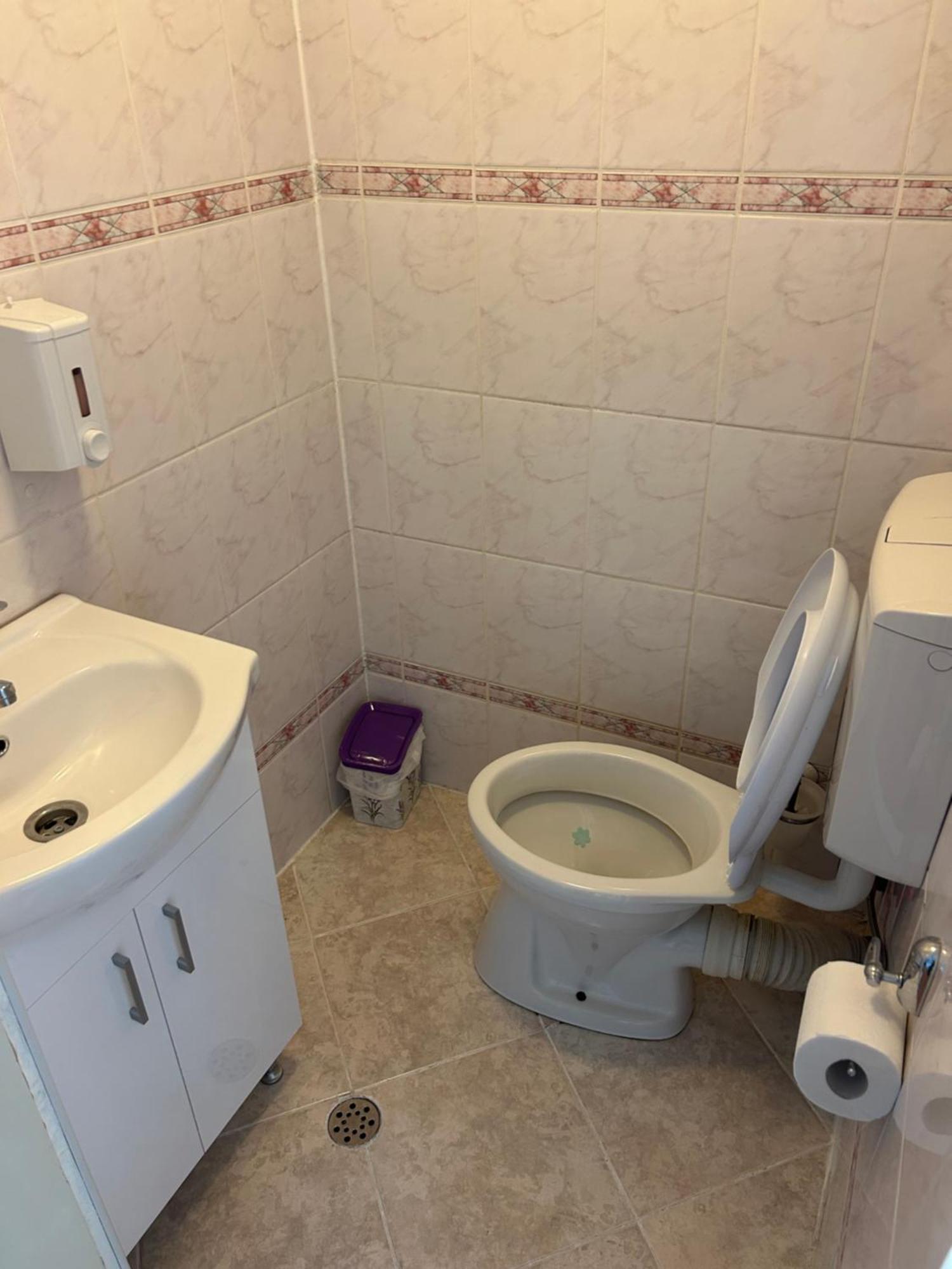 Bivolul Negru Apartment Blaj Luaran gambar